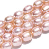 Natural Cultured Freshwater Pearl Beads Strands PEAR-N012-07O-4