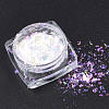 Holographic Chunky Glitter Nail Art Pigment Dust MRMJ-S015-009B-1