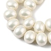 Oval Shell Pearl Beads Strands BSHE-XCP0001-21-3