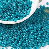 MIYUKI Round Rocailles Beads SEED-G008-RR4483-1