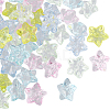 Transparent Acrylic Beads MACR-SC0001-57B-1