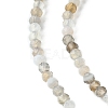 Natural Botswana Agate Beads Strands G-F748-B01-02-4