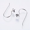 Tarnish Resistant 304 Stainless Steel Earring Hooks STAS-I097-063P-2