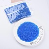 Transparent Glass Bugle Beads SEED-N005-001-C10-2