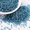 Cylinder Seed Beads X-SEED-H001-G13-1