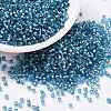 Cylinder Seed Beads X-SEED-H001-G13-1