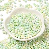 6/0 Glass Seed Beads SEED-M012-01A-04-2