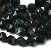 Natural Bloodstone/Heliotrope Beads Strands G-Z119-A16-01-5