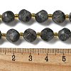 Natural Larvikite Beads Strands G-K387-A02-02-5