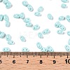 Baking Paint Glass Seed Beads SEED-T006-03G-4