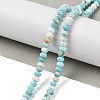 Natural Howlite Beads Strands G-H025-03D-09-2