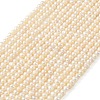 Natural Cultured Freshwater Pearl Beads Strands PEAR-L034-14A-3