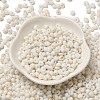 Baking Paint Glass Seed Beads SEED-F006-01A-15-2