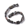 Natural Llanite Beads Strands G-K359-B20-01-3