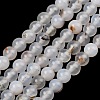 Natural Dendritic Agate Beads Strands G-D0005-18-6mm-2