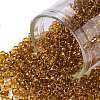 TOHO Round Seed Beads SEED-XTR08-2156-1