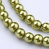 Glass Pearl Beads Strands HY-6D-B44-2