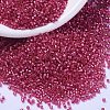 MIYUKI Delica Beads SEED-MY11-DB2154-1