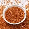 Cylinder Seed Beads SEED-H001-G10-3