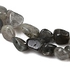 Natural Labradorite Beads Strands G-Q060-E20-02-4