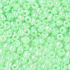 DIY Craft Beads 6/0 Ceylon Round Glass Seed Beads X-SEED-A011-4mm-144-2