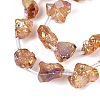 Dyed Electroplate Raw Rough Natural Amethyst Beads Strands G-Q610-05F-4