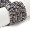 Natural Iolite Beads Strands G-G188-B04-06A-1