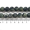 Natural Kambaba Jasper Beads Strands G-F520-53-12mm-2