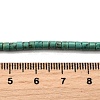 Natural Howlite Beads Strands G-F791-A01-5