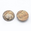 Natural Picture Jasper Cabochons G-E492-A-10-2