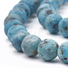 Natural Sesame Jasper/Kiwi Jasper Beads Strands G-T106-342D-2