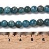Natural Apatite Beads Strands LS-G-F816-A01-01B-5