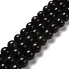 Natural Astrophyllite Beads Strands G-A202-01C-1