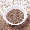 MIYUKI Delica Beads X-SEED-J020-DB1221-2