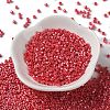 Baking Paint Glass Seed Beads SEED-S042-15A-06-2