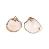 Natural Sea Shell Pendants SSHEL-N038-20-2