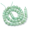 Natural Myanmar Jade/Burmese Jade Beads Strands X-G-T064-22-10mm-2