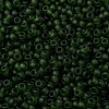 MIYUKI Round Rocailles Beads SEED-X0055-RR0158F-3