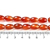 Natural Carnelian Beads Strands G080-4