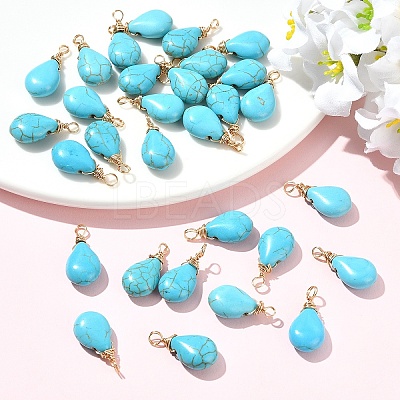 30Pcs Dyed Synthetic Turquoise Pendants PALLOY-YW00132-1