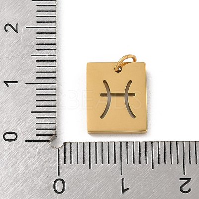 304 Stainless Steel Charms STAS-R001-03G-12-1