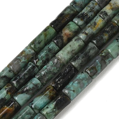 Natural African Turquoise(Jasper) Beads Strands G-B091-A25-01-1
