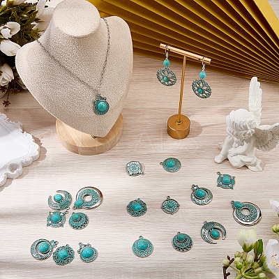20Pcs 10 Styles Bohemia Styles Alloy & Acrylic Pendants FIND-SC0022-80-1