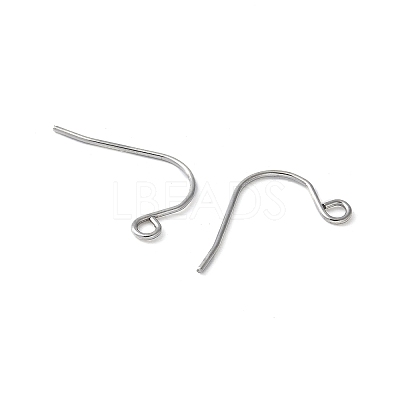 316 Surgical Stainless Steel Earring Hooks STAS-Z124-02C-P-1