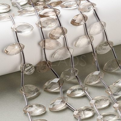 Natural Smoky Quartz Beads Strands G-P607-A10-01-1
