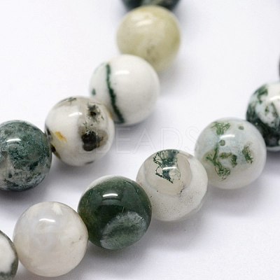 Natural Tree Agate Beads Strands G-I199-03-10mm-1