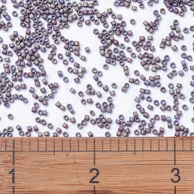 MIYUKI Delica Beads X-SEED-J020-DB1067-1
