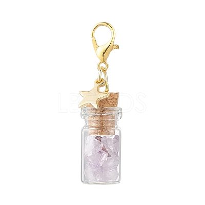 Natural Amethyst Chips inside Glass Wishing Bottle Pendant Decoration HJEW-JM03307-04-1