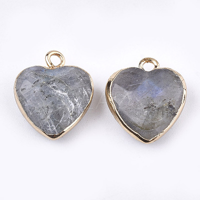 Electroplate Natural Labradorite Pendants G-T112-03A-1