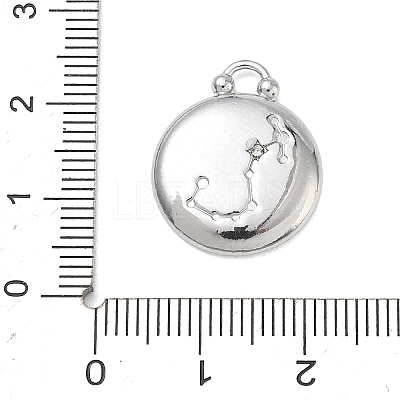 12 Constellations 304 Stainless Steel Pendants STAS-F354-01P-08-1